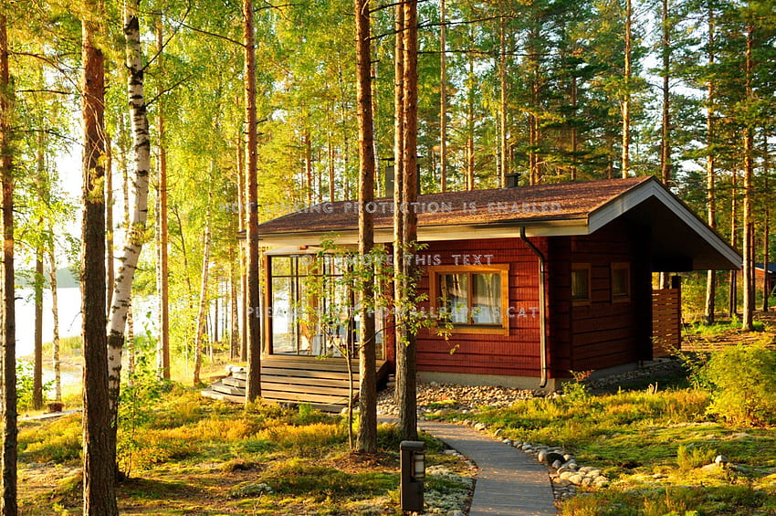 Summer Cottage Grass Finland Trees Forest - Finland Cottage Forest Lake - - HD wallpaper