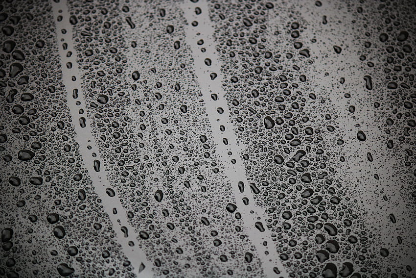Drops, Macro, Wet, Surface, Bw, Chb, Humid HD wallpaper