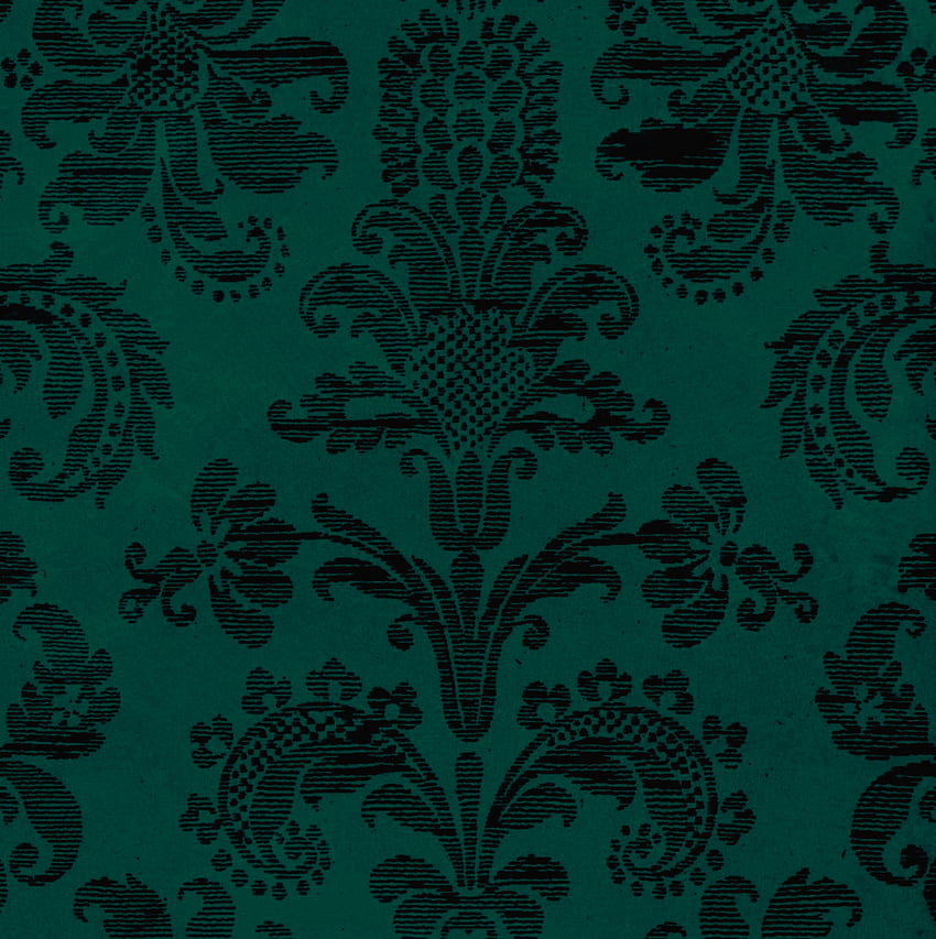 Empty Room With Faded Green Damask Wallpaper Stock Illustration  Adobe  Stock