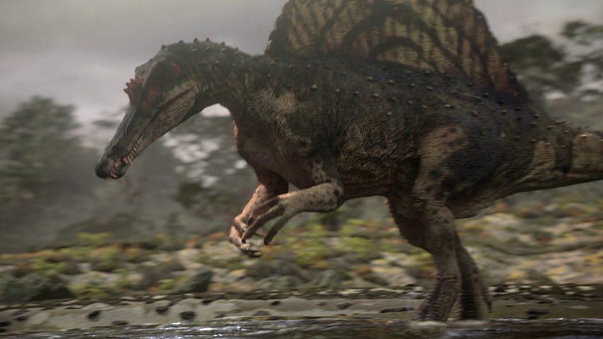 Spinosauridae, Спинозавър HD тапет