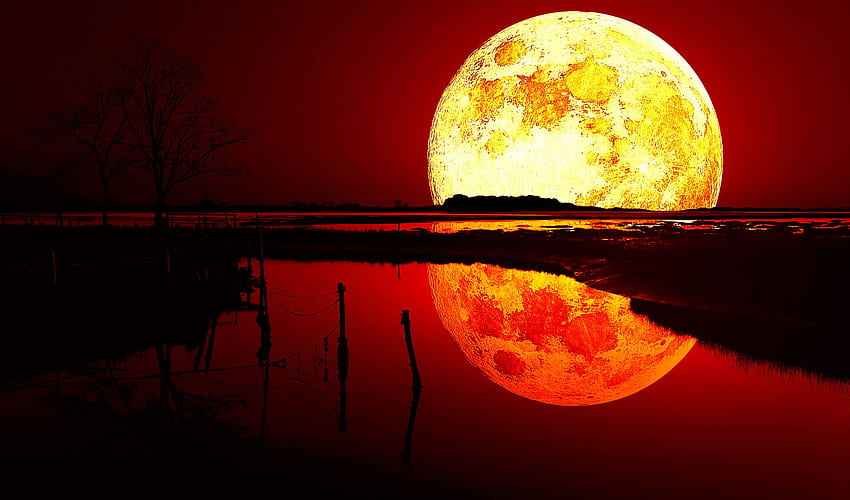Червена луна, супер луна при залез HD тапет