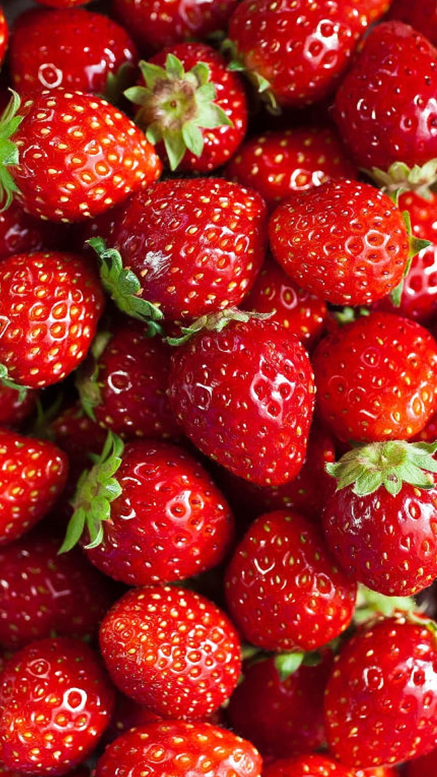 fresas Estética roja, grafía de frutas, Fruta fondo de pantalla del teléfono