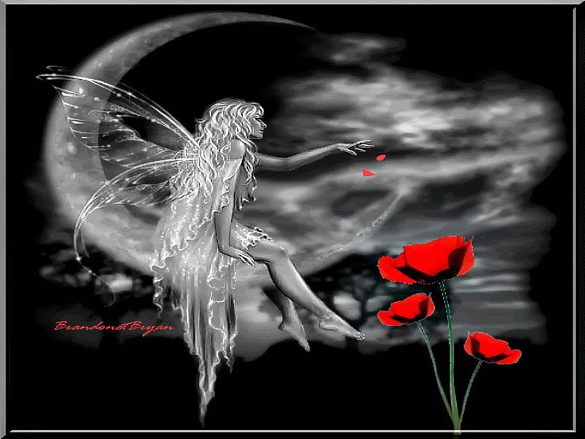 Fee, Mond, Mohn, Blütenblätter, rot HD-Hintergrundbild