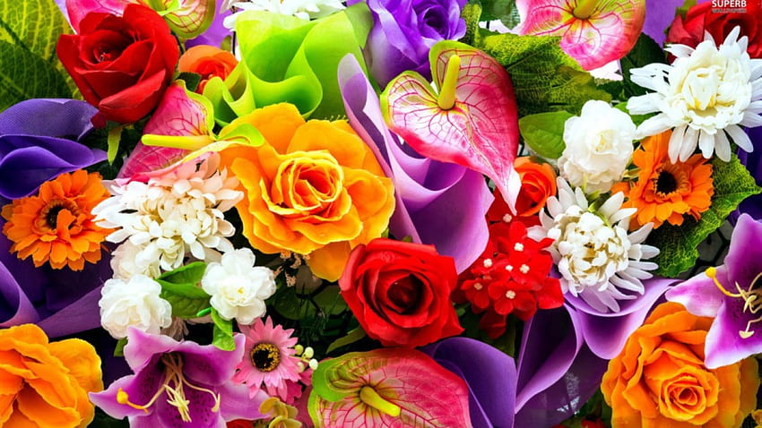 Śliczne kwiaty, różowe, białe, czerwone, żółte Tapeta HD