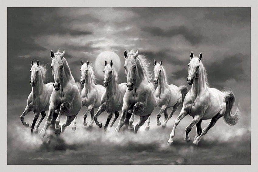 Siedem białych koni, 7 koni Tapeta HD