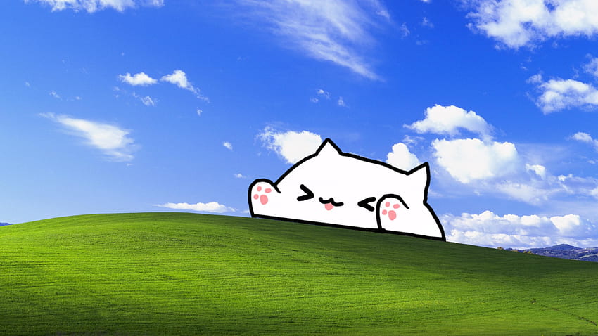 бонго котка XP () OC. Сладък, тефтер, лаптоп, котка Bongo Meme HD тапет