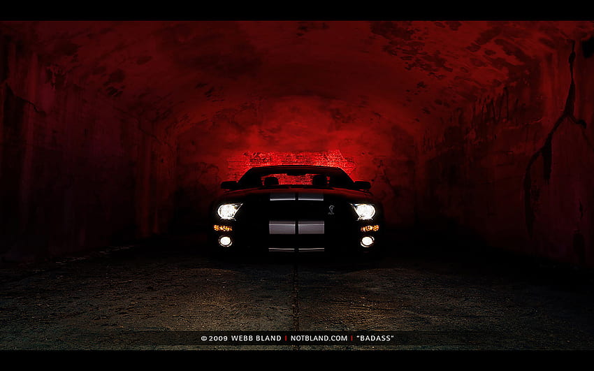 Shelby GT-500, GT-500, Shelby HD-Hintergrundbild