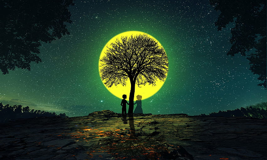 Nacht, Liebe, Holz, Baum, Silhouetten HD-Hintergrundbild