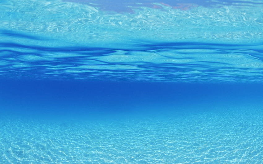 Embaixo da agua . Água, Estética Subaquática papel de parede HD