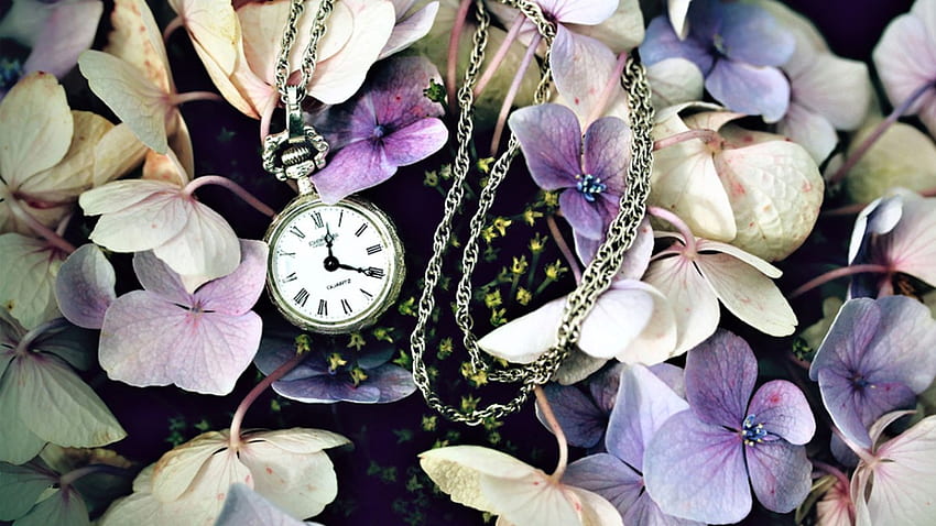 Natura morta, viola, orologio da tasca, fiori Sfondo HD