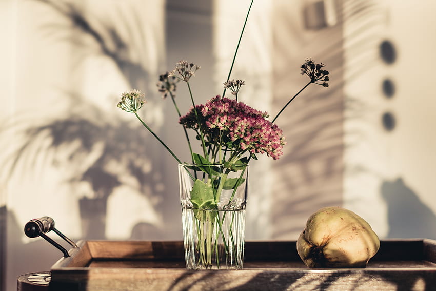 Fleurs, Verre, Vase Fond d'écran HD