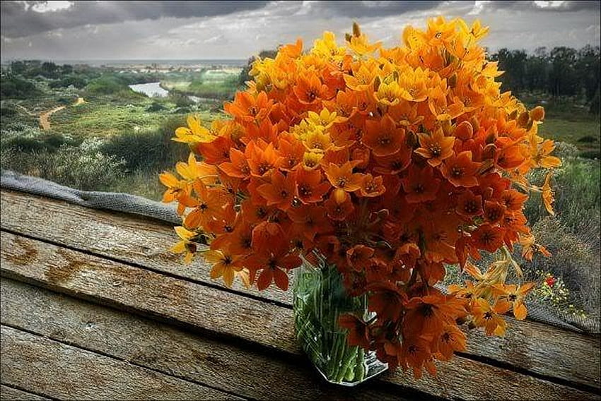 fenêtre, bouquet, rural, fleur Fond d'écran HD