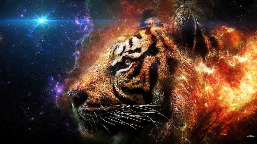 Фон на тигър, хипстър галактика на тигър HD тапет