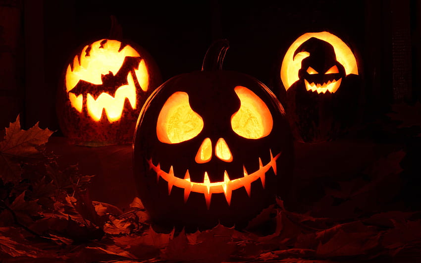 Fall, Halloween, Jack O' Lantern, Leaf Pumpkin, Jack O'lantern HD ...