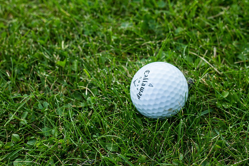Спорт, трева, голф, топка HD тапет