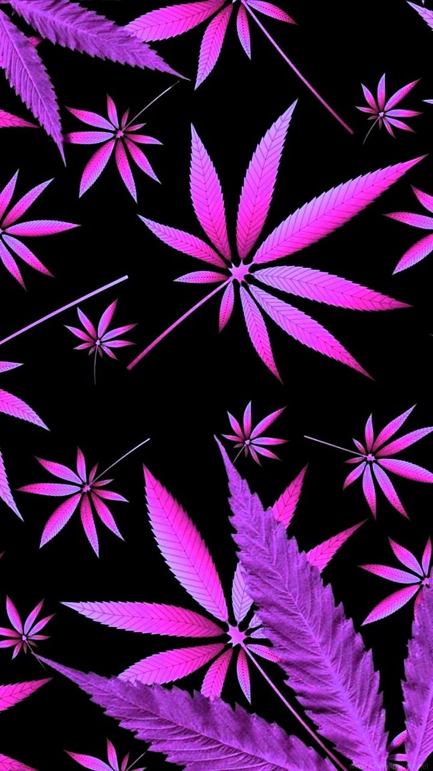 Jennifer Ackley on Stoner girl 420., Pink Weed HD phone wallpaper