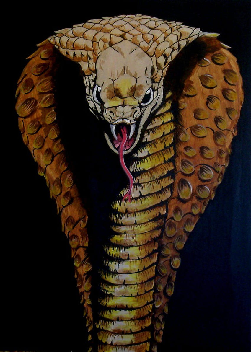 roi cobra art s [] pour votre, mobile et tablette. Explorez le roi cobra. Serpent Cobra, Serpent pour, 427 Shelby Cobra, Serpent Art Fond d'écran de téléphone HD