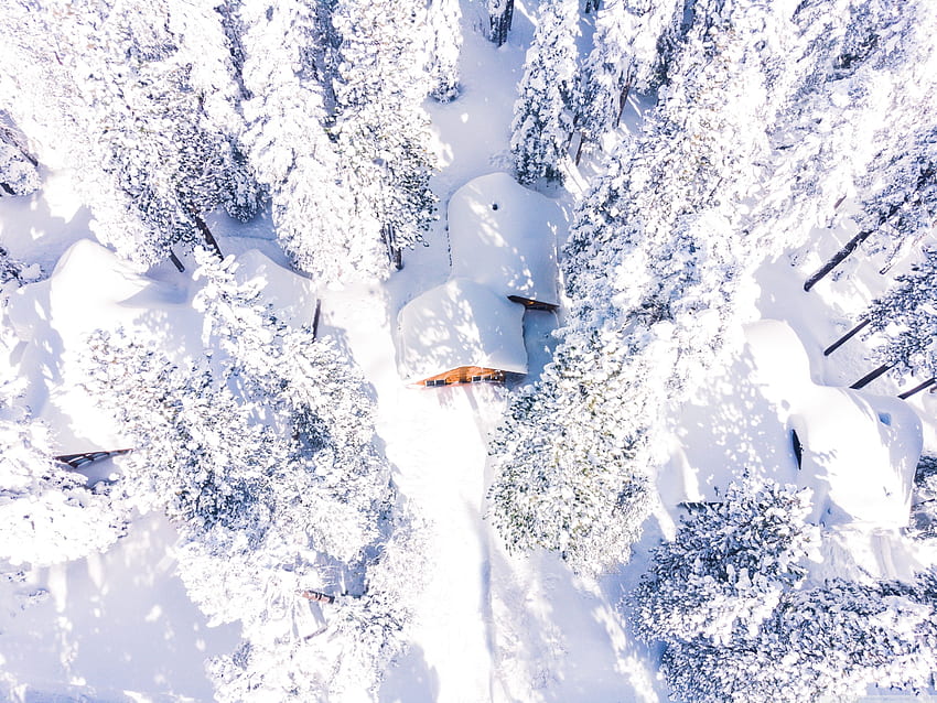 Grafiki z drona Zimowy Śnieg Kraj leśny Ultra Tło dla U Telewizor: Panoramiczny i UltraWide i Laptop: Tablet: Smartfon, las arktyczny Tapeta HD