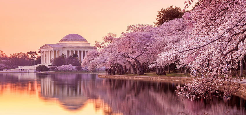 Washington DC Frühling HD-Hintergrundbild
