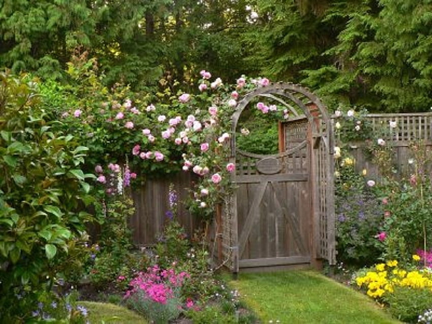 gerbang taman dengan lengkungan mawar merah muda, gerbang taman, lengkungan, mawar merah muda, taman, alam, bunga Wallpaper HD