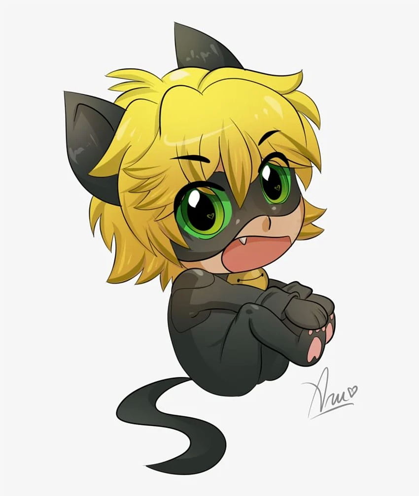 Miraculous Ladybug Chat Noir And - Chibi Cat Noir PNG . Transparent PNG on SeekPNG, Miraculous Tales of Ladybug and Cat Noir HD phone wallpaper