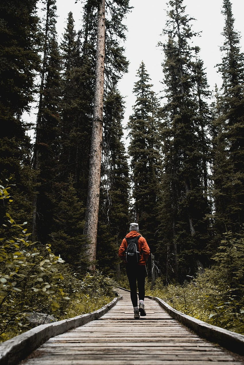 Escursione, Escursionista Sfondo del telefono HD