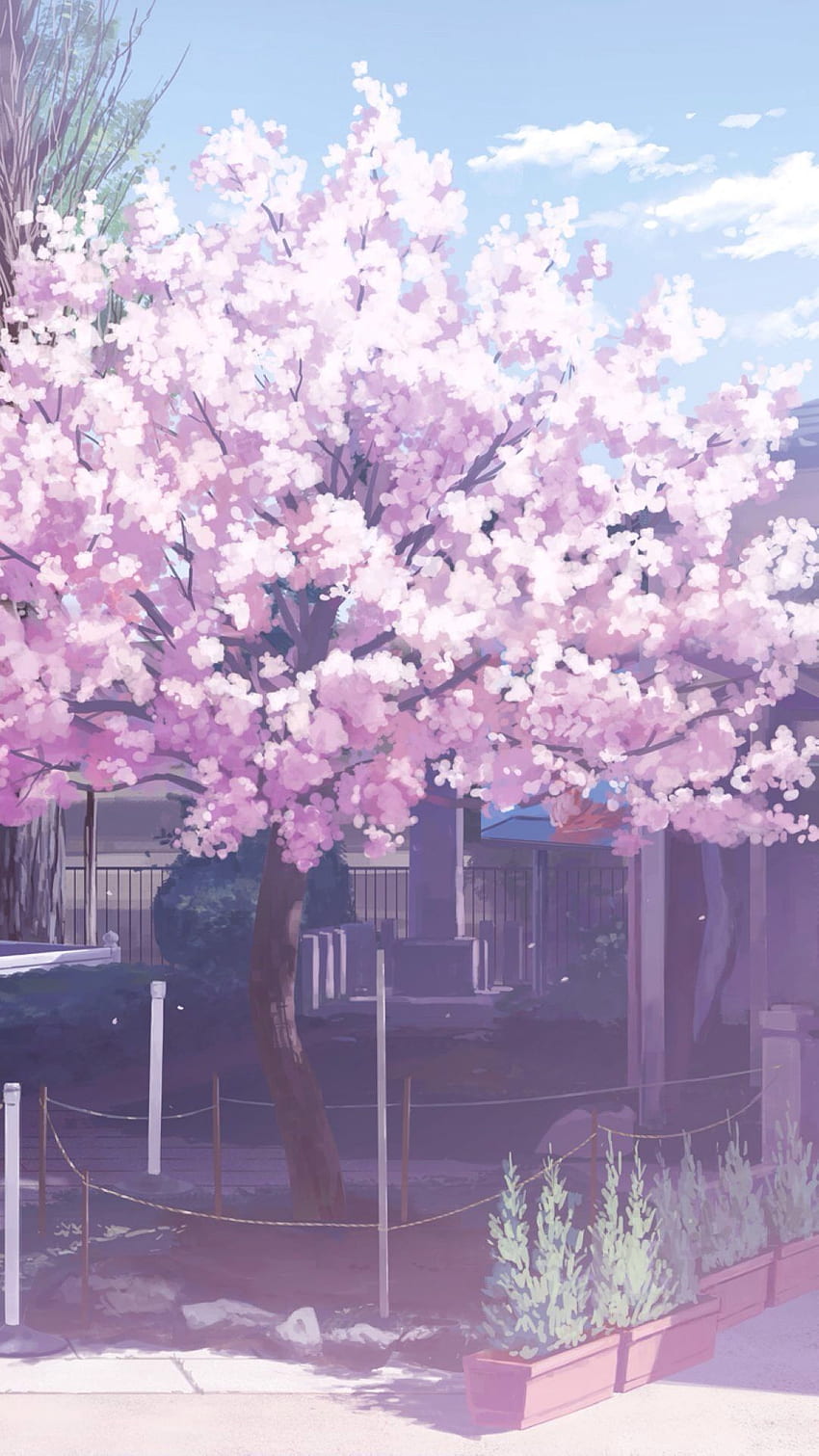 Różowa Sakura Tree Anime Estetyka Tapeta na telefon HD
