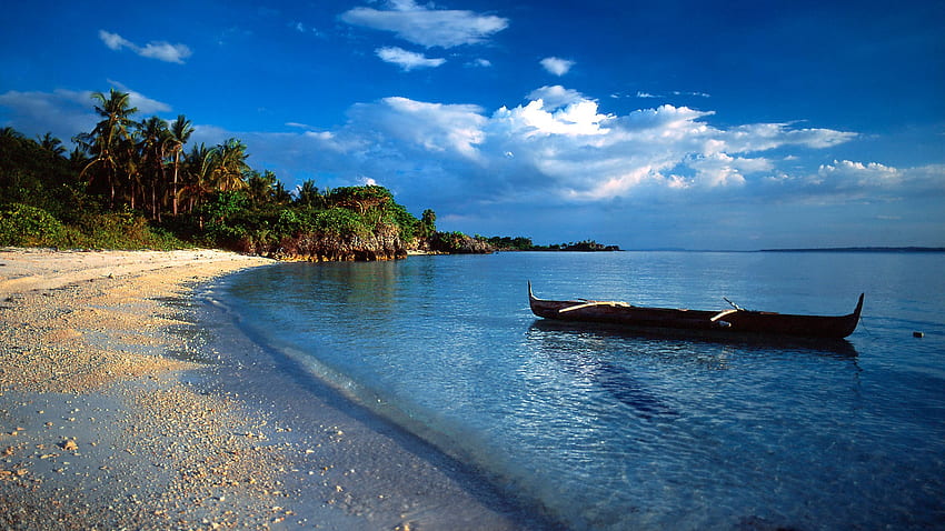 sunlit beach, palms, sea, boat, beach HD wallpaper