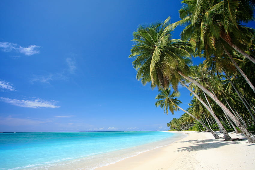 Salvas de Playa Playa Tropical, Playa Bahamas fondo de pantalla