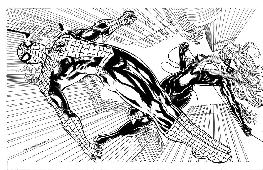 fight, black cat, heroes, black and white, spiderman HD wallpaper