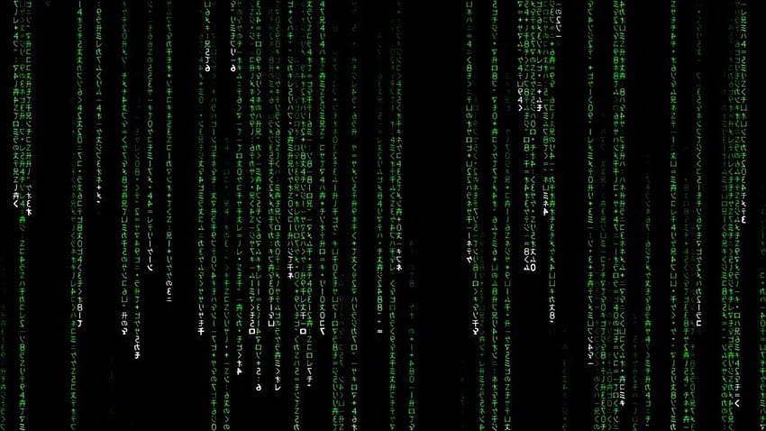 Matrix Code animado original mp4 fondo de pantalla