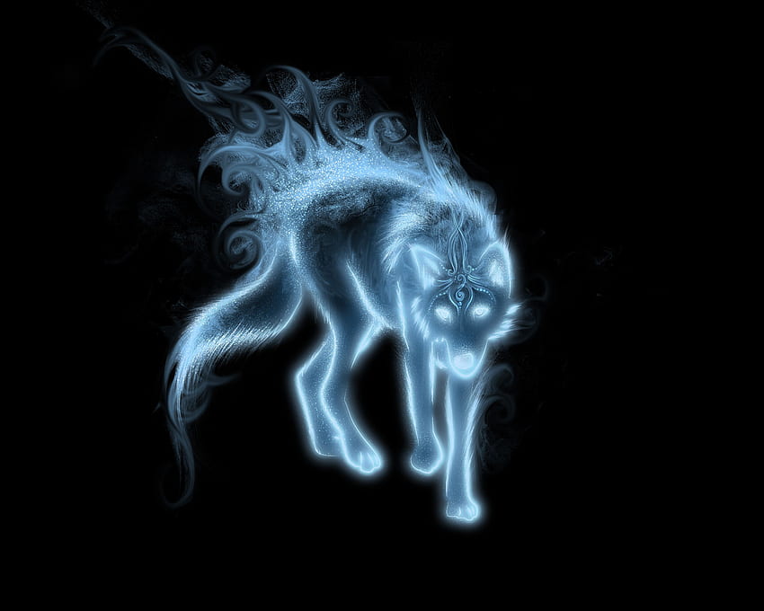 Vraiment Cool Wolf Wolf patronus par [] pour votre , Mobile & Tablet. Explorez Patronus. patronus Fond d'écran HD