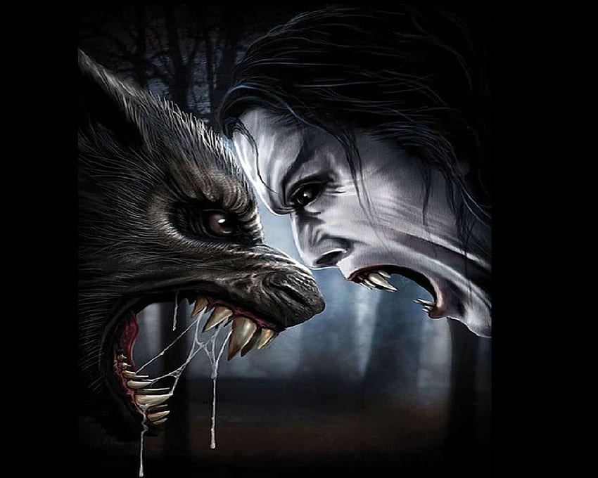 Werewolf vs Vampire, fangs, werewolf, supernatural, vampire, Fantasy HD wallpaper
