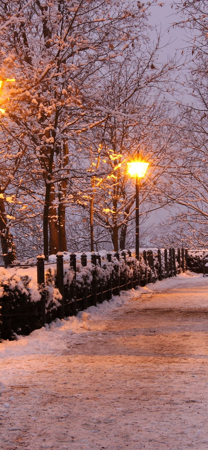 Czech Republic, park, trees, snow, lamps, bench, winter, Prague Winter HD phone wallpaper