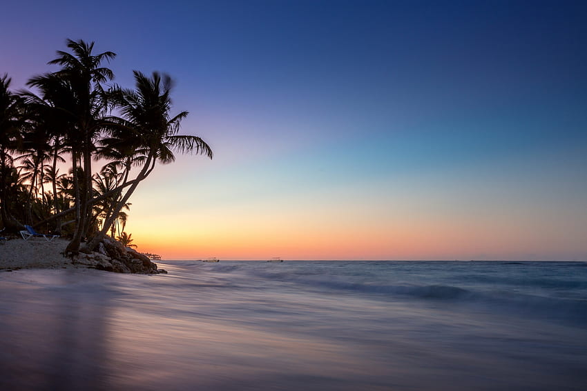 Pantai Tropis, telapak tangan, laut, langit, air, matahari terbenam Wallpaper HD