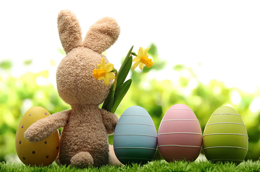 Easter Bunny , pastel, holidays, colorful, Easter, daffodils, eggs, special, bunny, day, yellow, flowers HD wallpaper