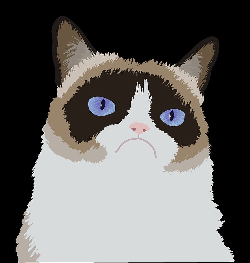 Grumpy Cat Cartoon Drawing. Explore HD phone wallpaper | Pxfuel