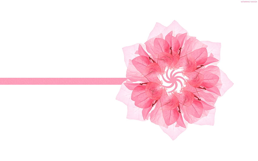 Flor hermosa del día de la madre - flor rosa, flor minimalista fondo de  pantalla | Pxfuel
