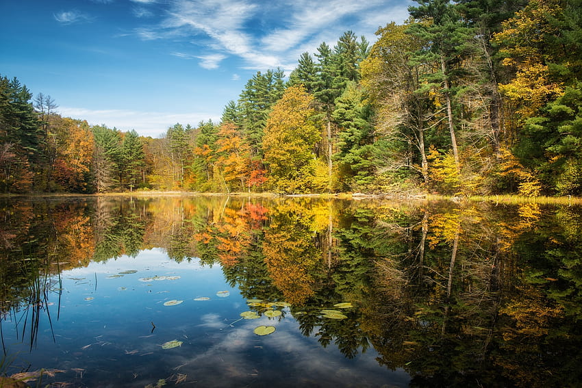 Nature, Trees, Autumn, Lake, Reflection, Forest HD wallpaper | Pxfuel