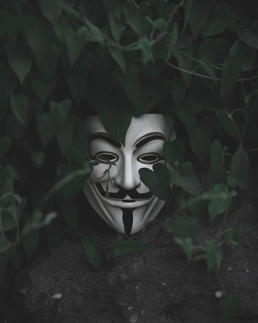 Guy Fawkes Maskesi., Serin Anonim Maske HD telefon duvar kağıdı