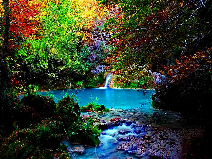 Forest fall, blue, creek, fall, peaceful, beautiful, stones, summer, emerald, waterfall, trees, autumn, water, calm, forest, stream HD wallpaper