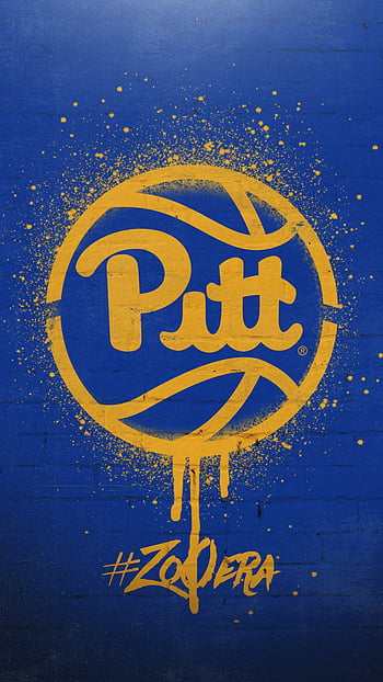 Pitt Wallpapers  Top Free Pitt Backgrounds  WallpaperAccess