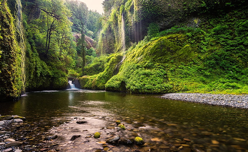 Eagle Creek Falls, zielone liście, mech, drzewa, wodospad, piękny, klif, Oregon Tapeta HD