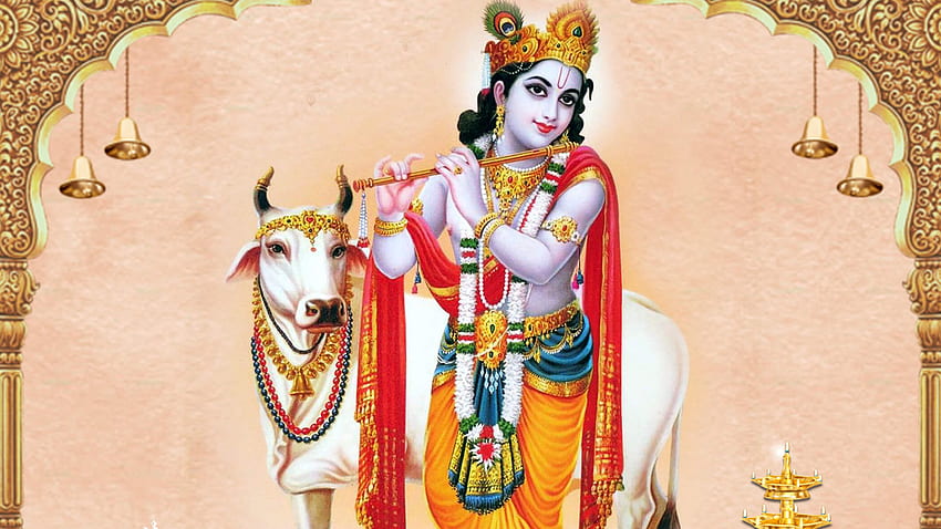Krishna avec flûte sur fond de vache décoré Krishna ., Krishna et vache Fond d'écran HD