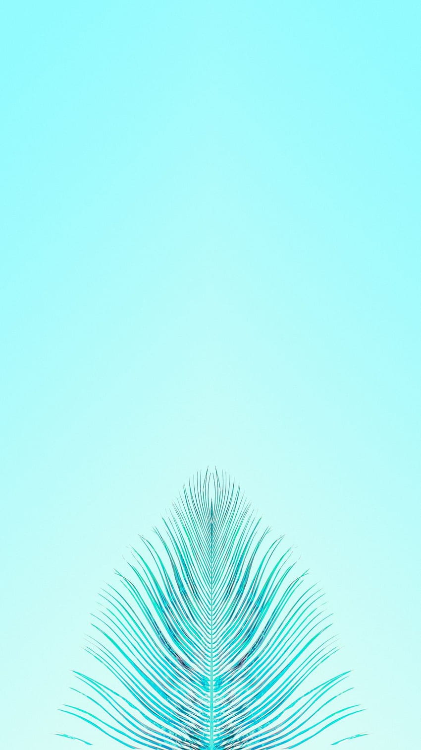 Teal iPhone, Pastel Turquoise HD phone wallpaper
