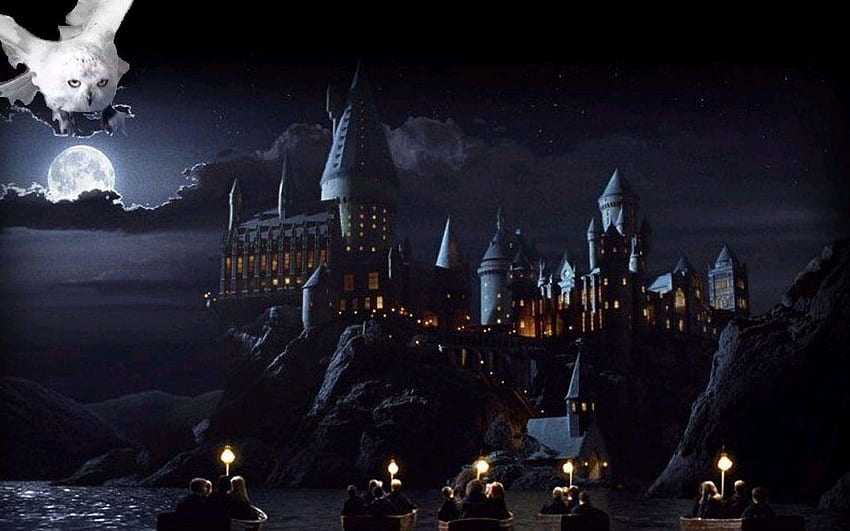 Harry Potter - Harry Potter Hogwarts Castle HD wallpaper | Pxfuel