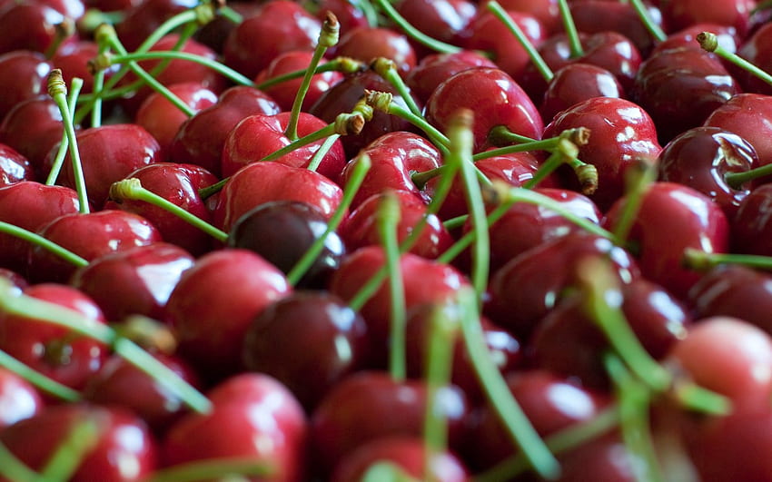 Sweet Cherry, Macro, Branch, Berry, Ripe HD wallpaper