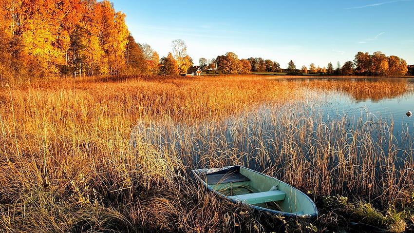 手漕ぎボート、水、秋、風景、放棄された、ボート、葦、湖 / およびモバイルの背景 高画質の壁紙
