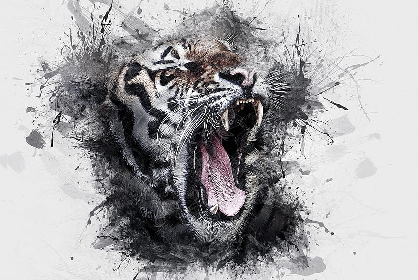 Art, tiger, roar, muzzle HD wallpaper