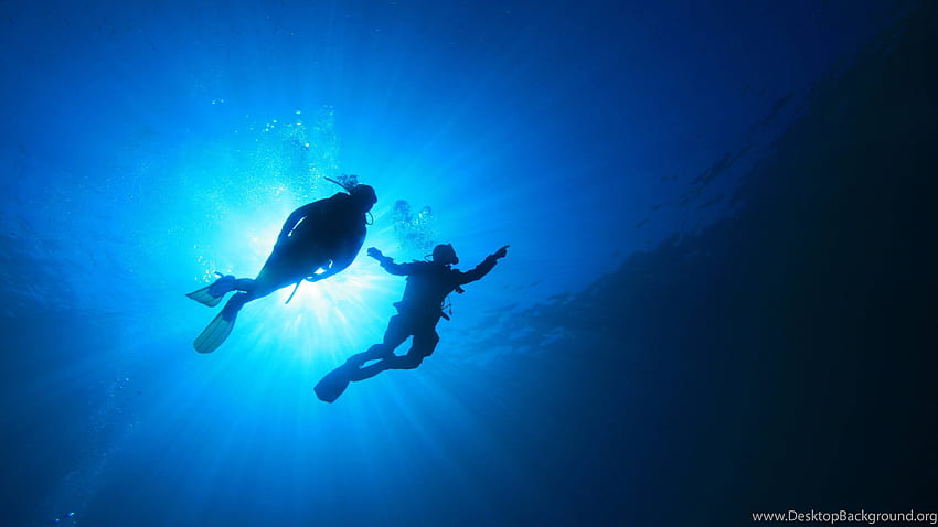 Latar Belakang Scuba Diving, Penyelam Laut Dalam Wallpaper HD | Pxfuel